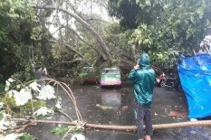 La Nina Membuat Curah Hujan Meningkat hingga 40%