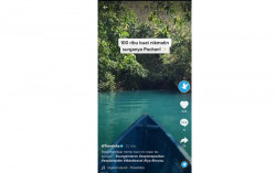 Tiket Hanya Rp5.000, Anda Bisa Menikmati Amazonnya Jawa di Pacitan
