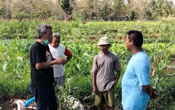 Bambang Wisnu Jamin Ketersediaan Pupuk bagi Petani Gunungkidul