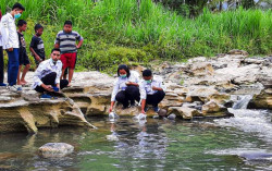 Peringati HUT Kulonprogo, PMI Tebar Ratusan Benih Ikan