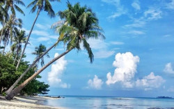 Nol Kasus Covid-19, Wisata Karimunjawa Resmi Dibuka