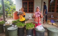 UGM Bantu Warga Selopamioro Budi Daya Sayur dan Ikan 