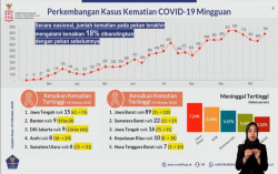 Ini Daftar 5 Provinsi dengan Kasus Meninggal Tertinggi Mingguan Akibat Covid-19