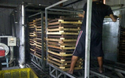 Optimalisasi Legalitas dan Branding Pada Usaha Briket Arang Batok Kelapa BriqCo