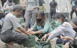 Rayakan Hari Pangan Sedunia, Earth Hour Jogja Adakan Kegiatan Nandur