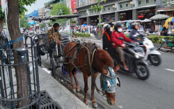 Penumpang Becak dan Andong di Jogja Meningkat saat Liburan