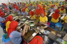 Kenaikan Tarif Cukai Rokok Dikhawatirkan Picu Gelombang PHK