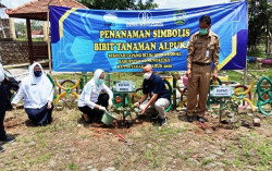 Curah Hujan Meningkat Akibat La Nina, Ini Imbauan BMKG