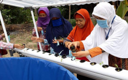 Dosen Agribisnis UMY Tingkatkan Keterampilan Urban Farming Jemaah Masjid