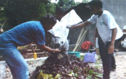 KKN UMY di Tanjunggunung Kenalkan Pengelolaan Pupuk Kompos