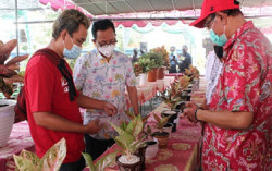  Dinas Pertanian dan Pangan Jogja Gelar Kontes Tanaman Hias