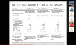 FKIK UMY Kampanyekan Pentingnya Nutrisi dan Pemeriksaan Gestational pada Kehamilan Ganda