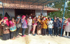 Petani Dukung Kustini-Danang, Pertanian Sleman Harus Semakin Maju