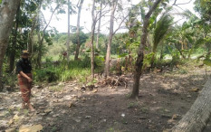 Jalan Panjang Pembangunan GPdI di Sedayu Bantul