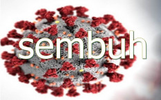 Update Corona 17 November: Kasus Sembuh Tambah 3.193 Orang, Total 398.636 Orang