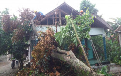 Angin Kencang Terjang Sebagian Kalasan