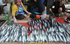 CEK FAKTA: Benarkah Makan Ikan Bikin Cantik dan Panjang Umur?