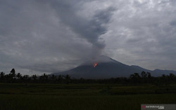 Awan Panas Semeru Meluncur 3.000 Meter dari Puncak