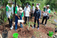 Gunungkidul Kampanye Tanam Bambu untuk Atasi Lahan Kritis