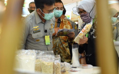 Syahrul Yasin Limpo Siap Jadi Menteri KKP ad interim Gantikan Menteri Luhut