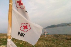 JK Minta PMI Daerah Produksi Plasma Konvalesen untuk Tangani Covid-19