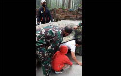 Viral Lagi, Video Dinosaurus Mengeluarkan Manusia, Jawaban Video Dinosaurus Turun dari Truk?