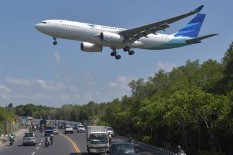 Repatriasi Satwa, 11 Orang Utan Terbang Naik Garuda Indonesia 