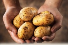 Catat! 6 Bahan Makanan Ini Tidak Boleh Masuk Kulkas