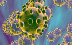 DPR Ingatkan Pemerintah Serius Antisipasi Ancaman Varian Baru Virus Corona