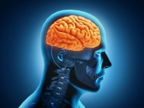 Penelitian: Orang yang Suka Menyendiri Punya IQ Lebih Tinggi