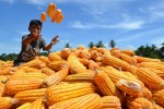 Buat Tahun Baru di Rumah, Ini Resep Bumbu Jagung Bakar Manis