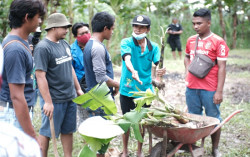 Karang Taruna Argodadi Kembangkan Ekowisata Pertanian Organik