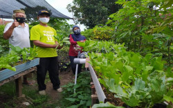 Warga Ngadiwinatan Ubah Penampungan Sampah Jadi Kebun Gizi