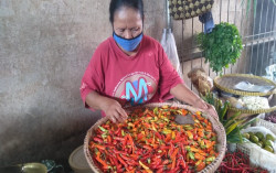 Harga Cabai Rawit di Bantul Tembus Rp80.000