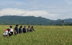 Ubud Versi Jogja Perlu Perhatian Pemerintah
