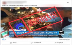 CEK FAKTA: Benarkah Asap Batok Kelapa jadi Obat Covid-19?