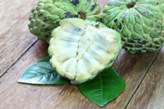 Ini 5 Manfaat Daun Srikaya, Salah Satunya Mencegah Penuaan Dini