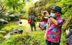 Melukis untuk Amal, Maestro Sidik 'Pit Mabuk' Bantu Relawan Merapi