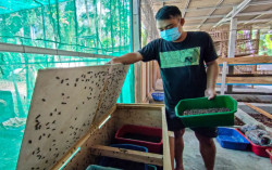 KISAH INSPIRATIF: Pemuda Kulonprogo Ini Raup Untung dari Belatung