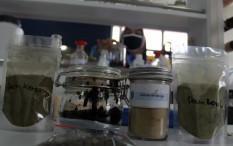 Bolehkah Pasien Covid-19 Minum Obat Herbal? Begini Penjelasan Dokter
