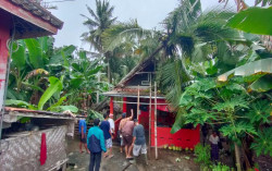 Pohon Tumbang Timpa Rumah Warga di Kulonprogo