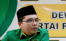 PPP dan PAN Tolak Revisi UU Pemilu, Ini Alasannya