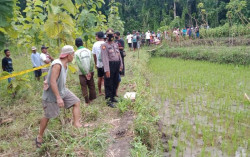 Petani Ditemukan Tewas di Persawahan, Diduga Tersengat Aliran Listrik