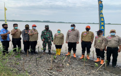 Antisipasi Gelombang Tsunami, Dinsos DIY & Tagana Tanam Mangrove di Pesisir Kulonprogo