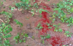 Heboh, Air Merah Darah Muncul dari Tanah di Sukoharjo