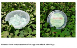 UMY Kuatkan Branding Olahan Lidah Buaya KWT Lestari Dusun Tegalsari Pakembinangun