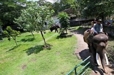 Wisatawan di Jogja yang Tak Tunjukkan Hasil Negatif Antigen Diminta Pulang