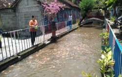 Warga Dukuh Gedongkiwo Ubah Selokan Menjadi Kolam Ikan