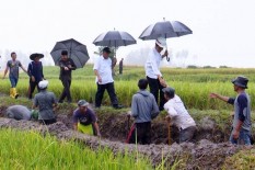 144 Wilayah Jadi Prioritas Program Padat Karya 2022