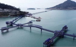 Cantiknya Pulau Ungu di Korea Selatan, Makanan dan Pakaian Warga Pun Berwarna Ungu